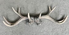 Decorative Deer Antler Coat / Hat Bag Rack - 20" Wide Lifelike