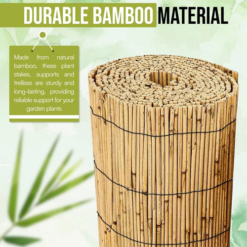 Natural bamboo reed - 3m/4m,