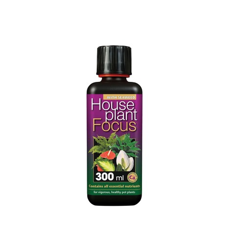 Houseplant focus liquid - liquid, feed