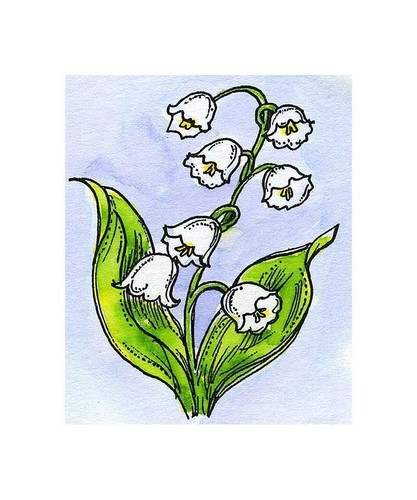 May flower lily the - of, valley