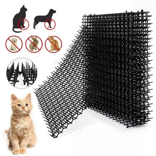 Pcs cat scat mat spike - scat,