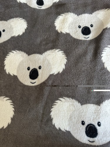 Cute fluffy koala bear - cute,