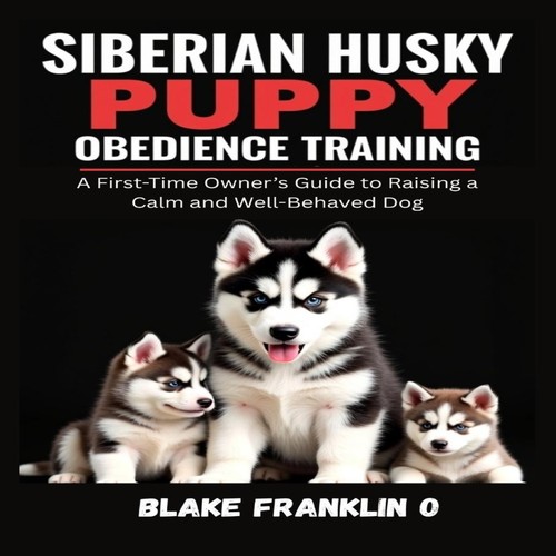 Siberian husky puppy - husky,