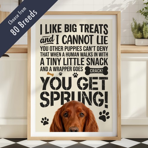 Funny dog treats lyric - dog,