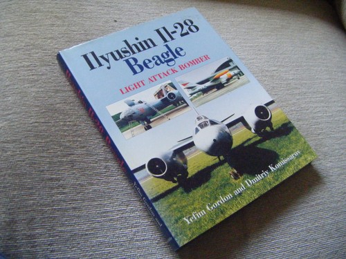 Ilyushin beagle light - beagle,