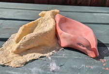 Handmade Latex & Fibreglass