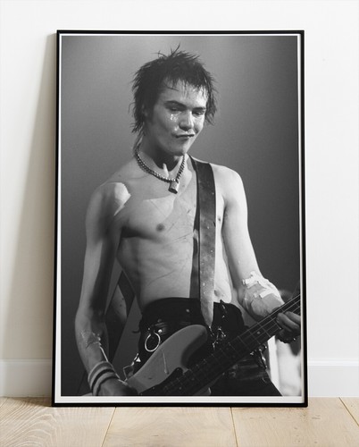 Sid vicious sex pistols - vicious, photo