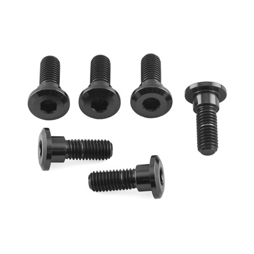 Titanium disc bolts - disc,