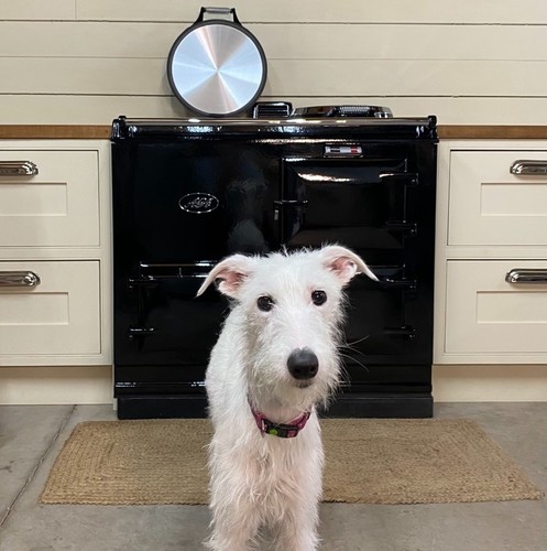 Renovated oven aga - 2, range