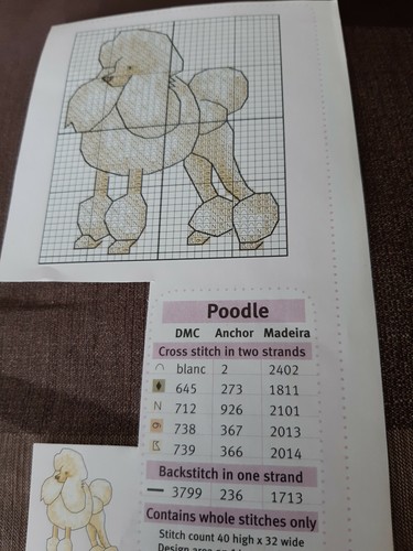 Mini pet poodle dog pattern