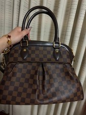 Louis Vuitton LV Hand Bag