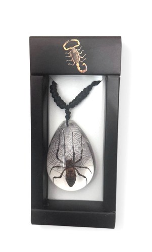 Spider insect necklace black - necklace,