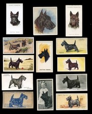 SCOTTISH TERRIER Scottie Dog