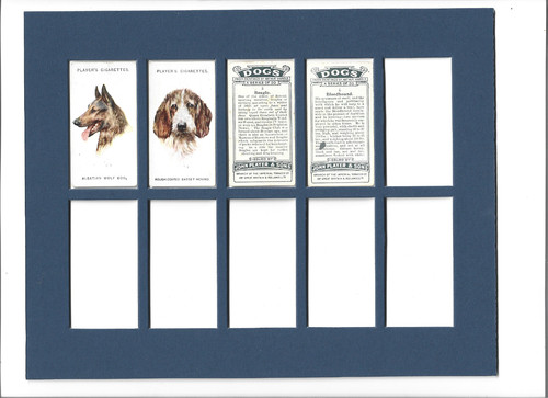 Cigarette card mount hold - cigarette,