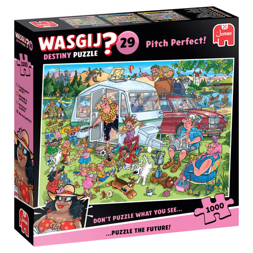 Wasgij destiny pitch - destiny,