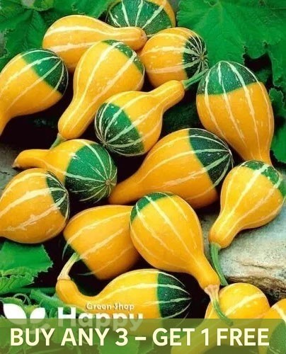 Small spoon seeds - -,
