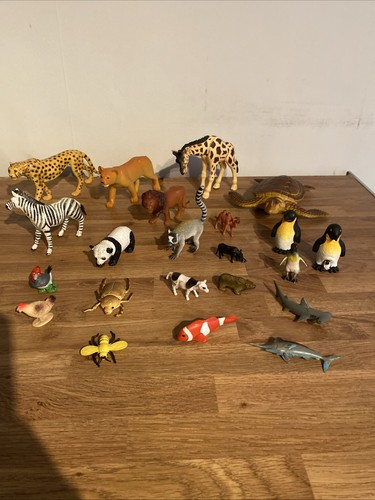 Lovely selection plastic - lovely,
