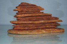 Aquarium Small Sedona Arizona