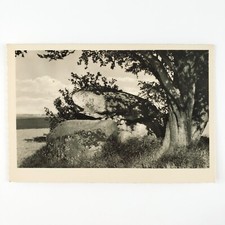 Rerik Germany Graves Stones