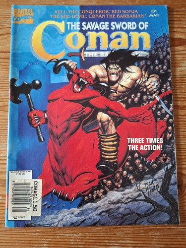 Savage sword conan the - sword,