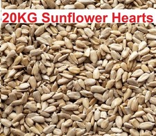 20Kg Sunflower Hearts for Wild