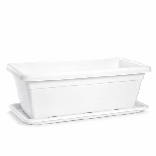 Large trough plant - plant, garden
