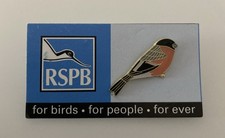 RSPB-2000/2001  Early