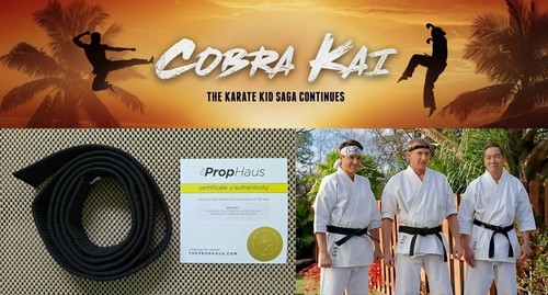 Cobra kai screen - used, gi