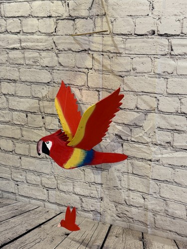 30cm 55cm parrot - x,
