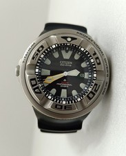 RARE Citizen Ecozilla