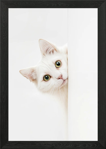 Curious white cat framed - curious,