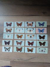 20 X Individual Wills