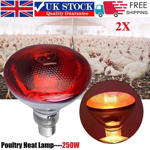 250w infra red heat - 250w,