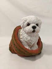 White Spaghetti Style Bichon