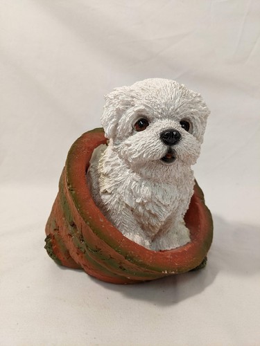 White spaghetti style bichon - white,
