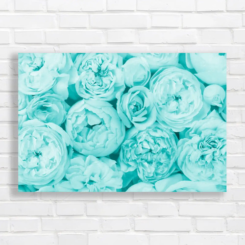 Delicate summer blossoming - delicate,
