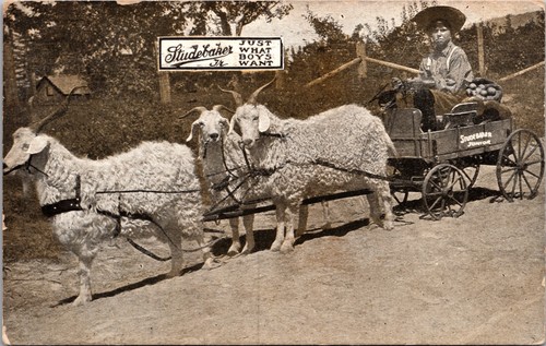 Studebaker junior goat cart - studebaker,