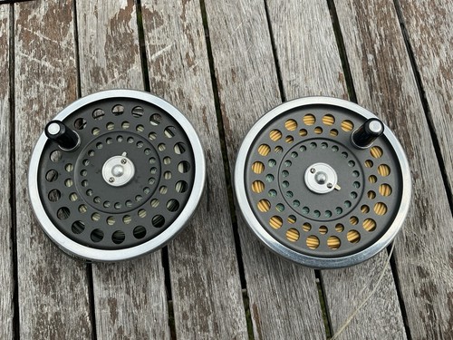 Two hardy no1 salmon - no1,