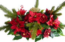 Christmas flowers red