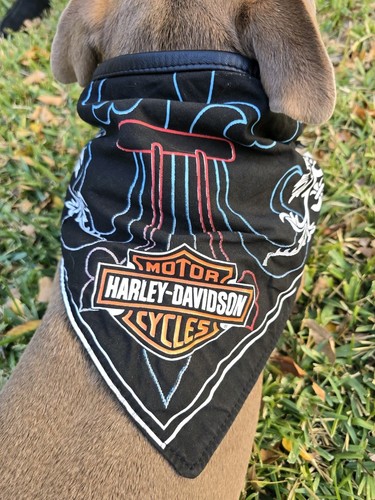 Harley davidson biker black - biker,