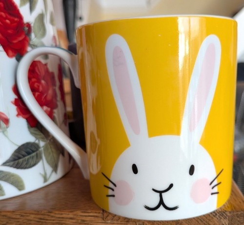 Sainsbury home bunny rabbit - bunny,