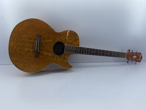 Ibanez aes10eam1202 cutaway - aes10eam1202,