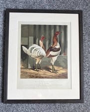 Cassell’s Poultry Book