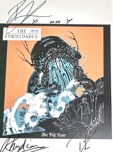 The joy formidable hand signed - joy,