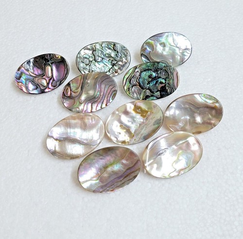 Abalone shell oval button - abalone,