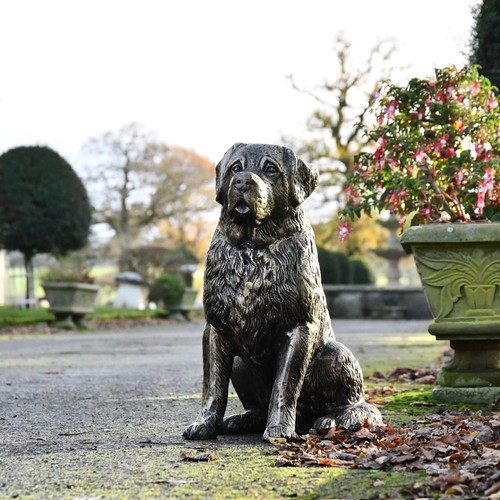 Stunning life size bernard - stunning, st