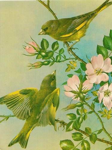 Open happy birthday vintage - open,