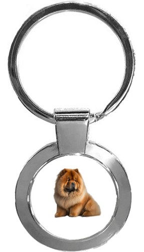 Chow dog pet family - chow,