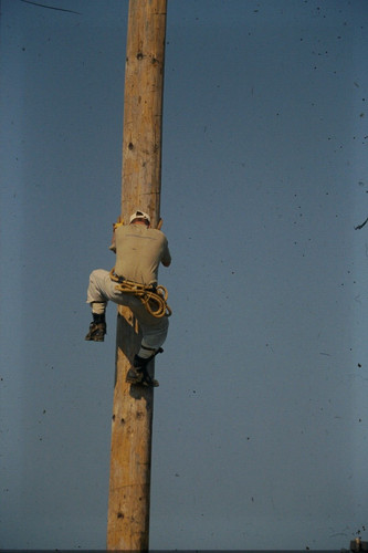 S734 telephone line - s734,
