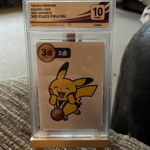 Pokemon pikachu taruka - pokemon, pikachu-taruka